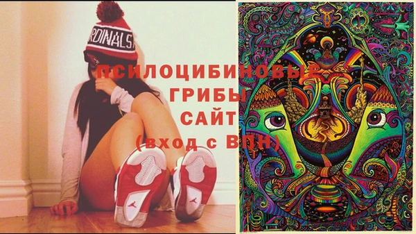 MESCALINE Вяземский