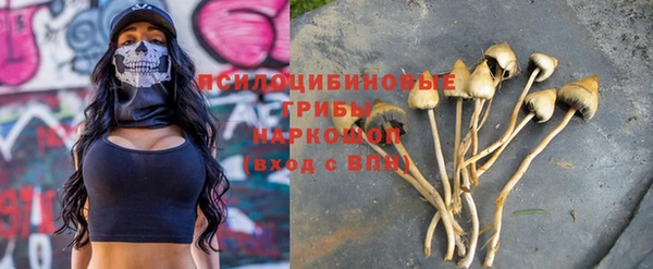 прущая мука Вязьма